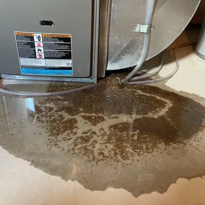 Appliance Leak Cleanup in New Boston, OH